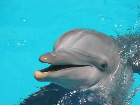 The Best of Cancun Photo