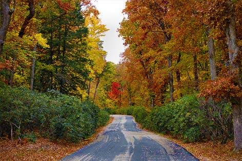 Can't Miss Fall Foliage Drives - Go Now! Photo