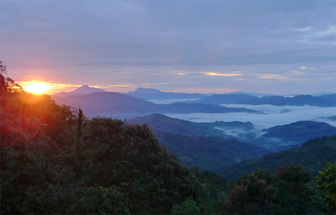 Photos of the Week: The High Road Photo