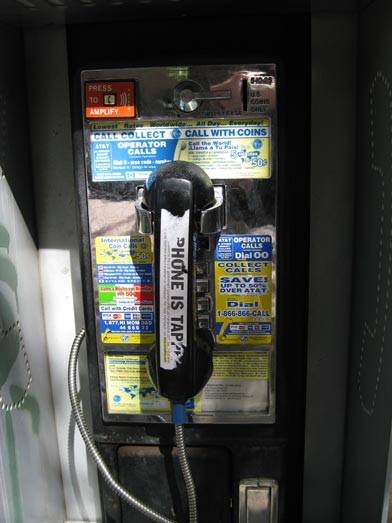 Track, Report, and Avoid Bed Bugs--With Your Phone Photo