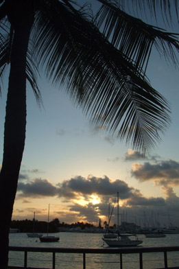 Keep Bringing Back the Summer Photo