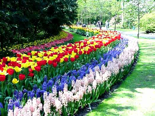 April Showers Bring These May Flowers Photo